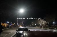 alexandriamou_trikala  (2)